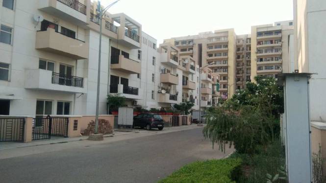 1380 Sq Ft 3 Bhk 2t North Facing Builderfloor For Sale At Rs 61 50