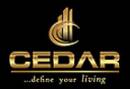 Cedar Group projects